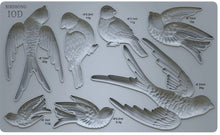 Load image into Gallery viewer, IOD Decor Mould 25 x 15cm - Birdsong