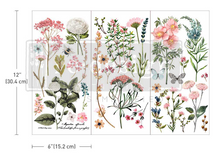 Load image into Gallery viewer, Redesign with Prima Mini Transfer - Botanical Paradise
