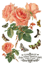 Load image into Gallery viewer, IOD Decor Transfer Pad 20 x 30.5cm - By Any Other Name (8 sheets)