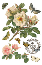 Load image into Gallery viewer, IOD Decor Transfer Pad 20 x 30.5cm - By Any Other Name (8 sheets)