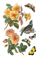 Load image into Gallery viewer, IOD Decor Transfer Pad 20 x 30.5cm - By Any Other Name (8 sheets)