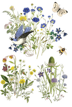 Load image into Gallery viewer, IOD Decor Transfer Pad 20 x 30.5cm - Flora Greca (8 sheets)