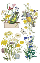 Load image into Gallery viewer, IOD Decor Transfer Pad 20 x 30.5cm - Flora Greca (8 sheets)