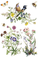 Load image into Gallery viewer, IOD Decor Transfer Pad 20 x 30.5cm - Flora Greca (8 sheets)