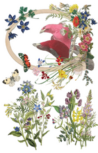 Load image into Gallery viewer, IOD Decor Transfer Pad 20 x 30.5cm - Flora Greca (8 sheets)