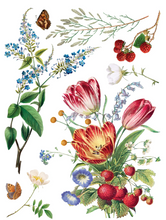 Load image into Gallery viewer, IOD Decor Transfer Pad 31 x 41cm - Marché des Fleurs (8 sheets)
