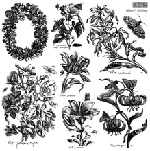 Load image into Gallery viewer, IOD Decor Stamp 30.5 x 30.5cm - Nature's Etchings (2 Sheets with Masks)