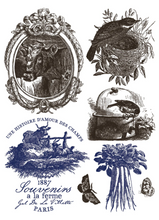 Load image into Gallery viewer, IOD Décor Paint Inlay - Hameau de la Reine (8 Sheets) ***Limited Edition***