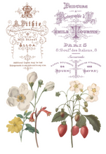 Load image into Gallery viewer, IOD Decor Transfer Pad 20 x 30.5cm - Saint Ouen (8 sheets)