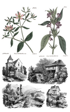 Load image into Gallery viewer, IOD Decor Transfer Pad 20 x 30.5cm - Saint Ouen (8 sheets)