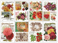 Load image into Gallery viewer, IOD Decor Transfer Pad 20 x 30.5cm  - Seed Catalogue (8 sheets)