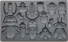 Load image into Gallery viewer, IOD Decor Mould 25 x 15cm - Specimens
