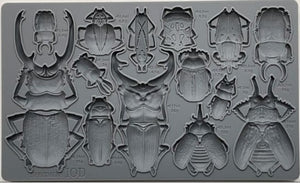 IOD Decor Mould 25 x 15cm - Specimens