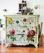 Load image into Gallery viewer, Redesign with Prima Transfer Large - Vintage Botanical
