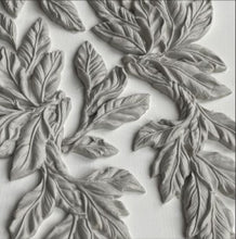 Load image into Gallery viewer, IOD Decor Mould 25 x 15cm - Viridis