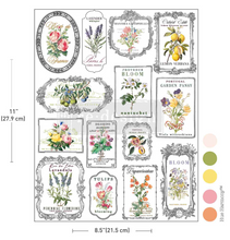 Load image into Gallery viewer, Redesign with Prima H2O Single Sheet Transfer - Whispers & Petals