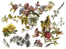 Load image into Gallery viewer, IOD Transfer Pad 31 x41 cm - Floral Anthology (4 Sheets)