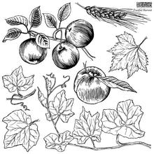 Load image into Gallery viewer, IOD Decor Stamp 30.5 x 30.5cm - Fruitful Harvest (2 Sheets and masks) *RETIRED*