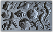 Load image into Gallery viewer, IOD Decor Mould 25 x 15cm - Sea Shells