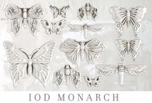 Load image into Gallery viewer, IOD Decor Mould 25 x 15cm - Monarch