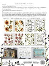 Load image into Gallery viewer, IOD Decor Transfer Pad 31 x 41cm - Painterly Florals (8 sheets)