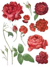 Load image into Gallery viewer, IOD Decor Transfer Pad 31 x 41cm - Redoute II (8 sheets)