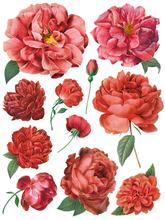Load image into Gallery viewer, IOD Decor Transfer Pad 31 x 41cm - Redoute II (8 sheets)