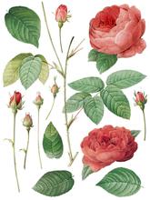 Load image into Gallery viewer, IOD Decor Transfer Pad 31 x 41cm - Redoute II (8 sheets)