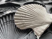 Load image into Gallery viewer, IOD Decor Mould 25 x 15cm - Sea Shells