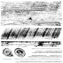 Load image into Gallery viewer, IOD Decor Stamp 30.5 x 30.5cm - Barnwood Planks (2 sheets)