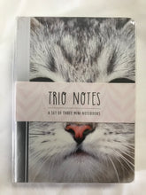 Load image into Gallery viewer, Trio Notes - Kittens