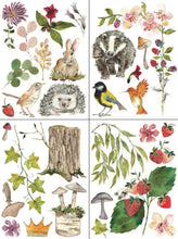 Load image into Gallery viewer, IOD Transfer Pad 31 x 41 cm - Whispering Willow (8 sheets)