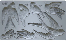 Load image into Gallery viewer, IOD Decor Mould 25 x 15cm - Birdsong
