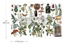 Load image into Gallery viewer, Redesign with Prima Mini Transfer - Botanical Archives
