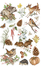 Load image into Gallery viewer, IOD Decor Transfer Pad 20 x 30.5cm - The Bramblewood Diaries (8 Sheets)
