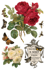 Load image into Gallery viewer, IOD Decor Transfer Pad 20 x 30.5cm - By Any Other Name (8 sheets)
