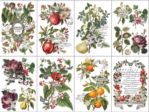 IOD Decor Transfer Pad 20 x 30.5cm - Clementine (8 Sheets)
