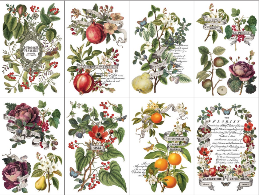 IOD Decor Transfer Pad 20 x 30.5cm - Clementine (8 Sheets)