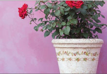 Load image into Gallery viewer, IOD Décor Paint Inlay - Ditsy Bloom (8 Sheets) ***Limited Edition***
