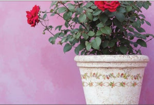 IOD Décor Paint Inlay - Ditsy Bloom (8 Sheets) ***Limited Edition***
