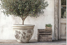 Load image into Gallery viewer, IOD Décor Paint Inlay - Floriography (8 Sheets) ***Limited Edition***
