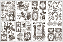 Load image into Gallery viewer, IOD Décor Paint Inlay - Floriography (8 Sheets) ***Limited Edition***
