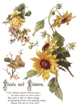 Load image into Gallery viewer, IOD Decor Transfer Pad 31 x 41cm - Flowers by the Poets (8 sheets)
