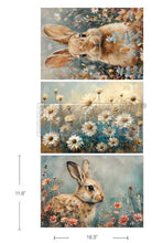 Load image into Gallery viewer, Redesign with Prima Decoupage Fibre Paper -  A3 Garden Bunny Tales 3 Sheets
