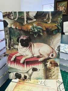 Jotter Pad - Pug and Friends
