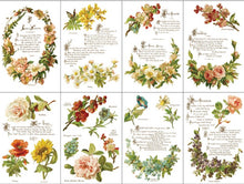 Load image into Gallery viewer, IOD Decor Transfer Pad 20 x 31cm - Lover of Flowers (8 Sheets)

