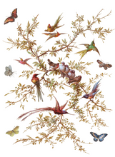 Load image into Gallery viewer, IOD Decor Transfer Pad 31 x 41cm - Madeleine (8 sheets)
