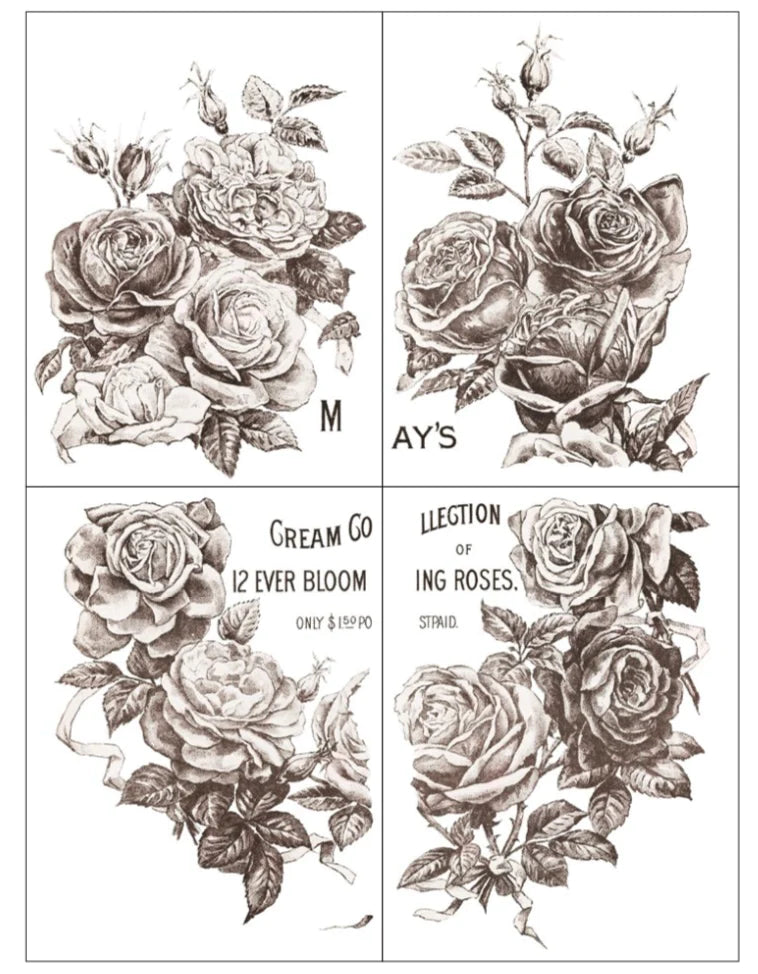 IOD Decor Transfer Pad 31 x 41cm  - Mays Roses (4 sheets)