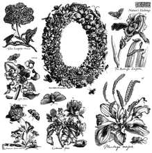 Load image into Gallery viewer, IOD Decor Stamp 30.5 x 30.5cm - Nature's Etchings (2 Sheets with Masks)
