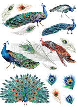 Load image into Gallery viewer, Redesign with Prima Transfer Large -Peacock Dreams
